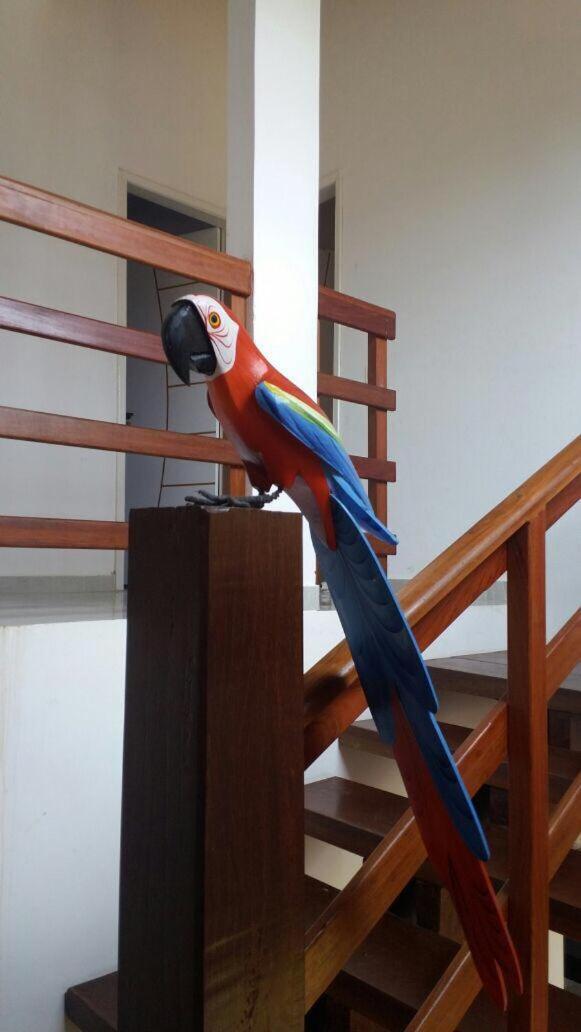 Casas Peroba Maragogi Villa ภายนอก รูปภาพ